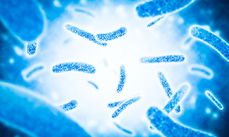 Featured image for “Legionella Risk Factors and Assessment”