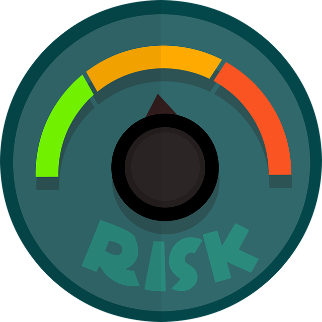 risk, risk management, risk assessment