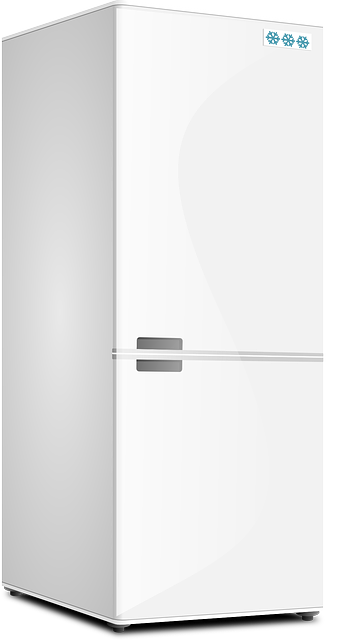 fridge, kitchen, refrigerator