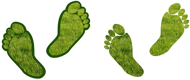 Carbon footprint, assistance, barefoot, carbon