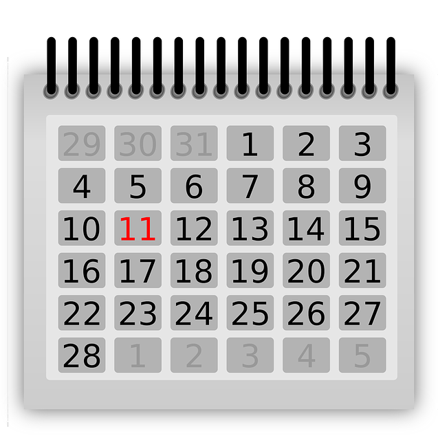 calendar, february, eleven