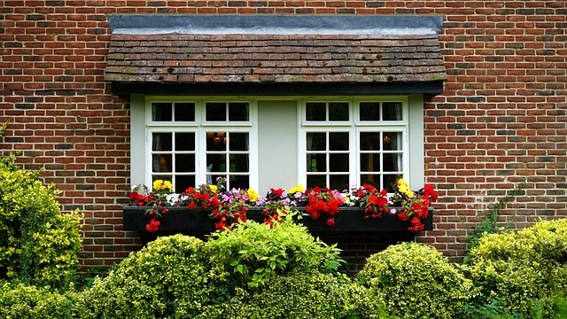 house, window, home